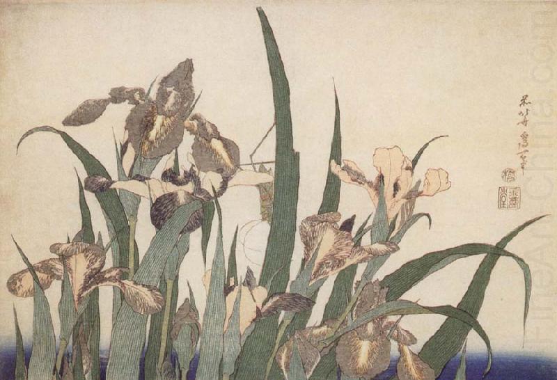 Iris, Claude Monet